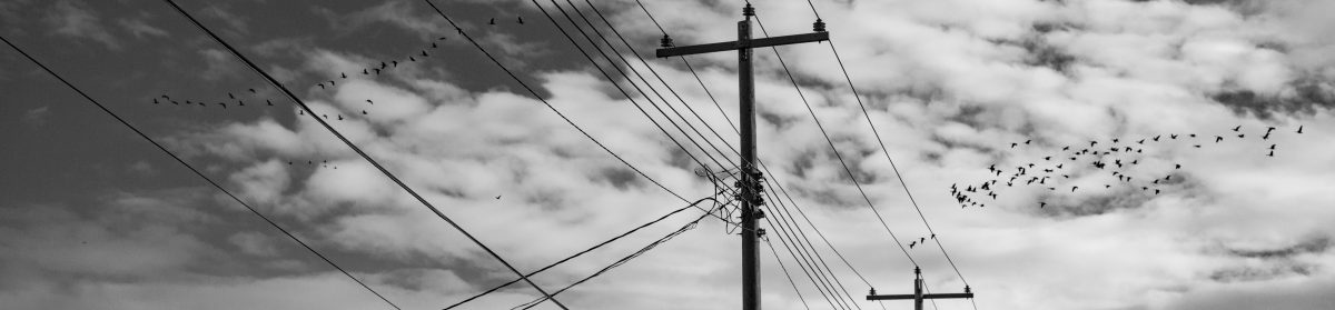 My Second Running Life