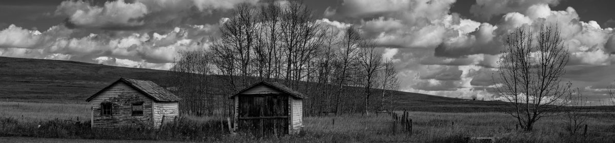 My Second Running Life