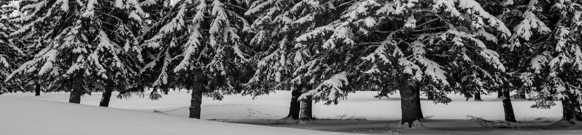 My Second Running Life