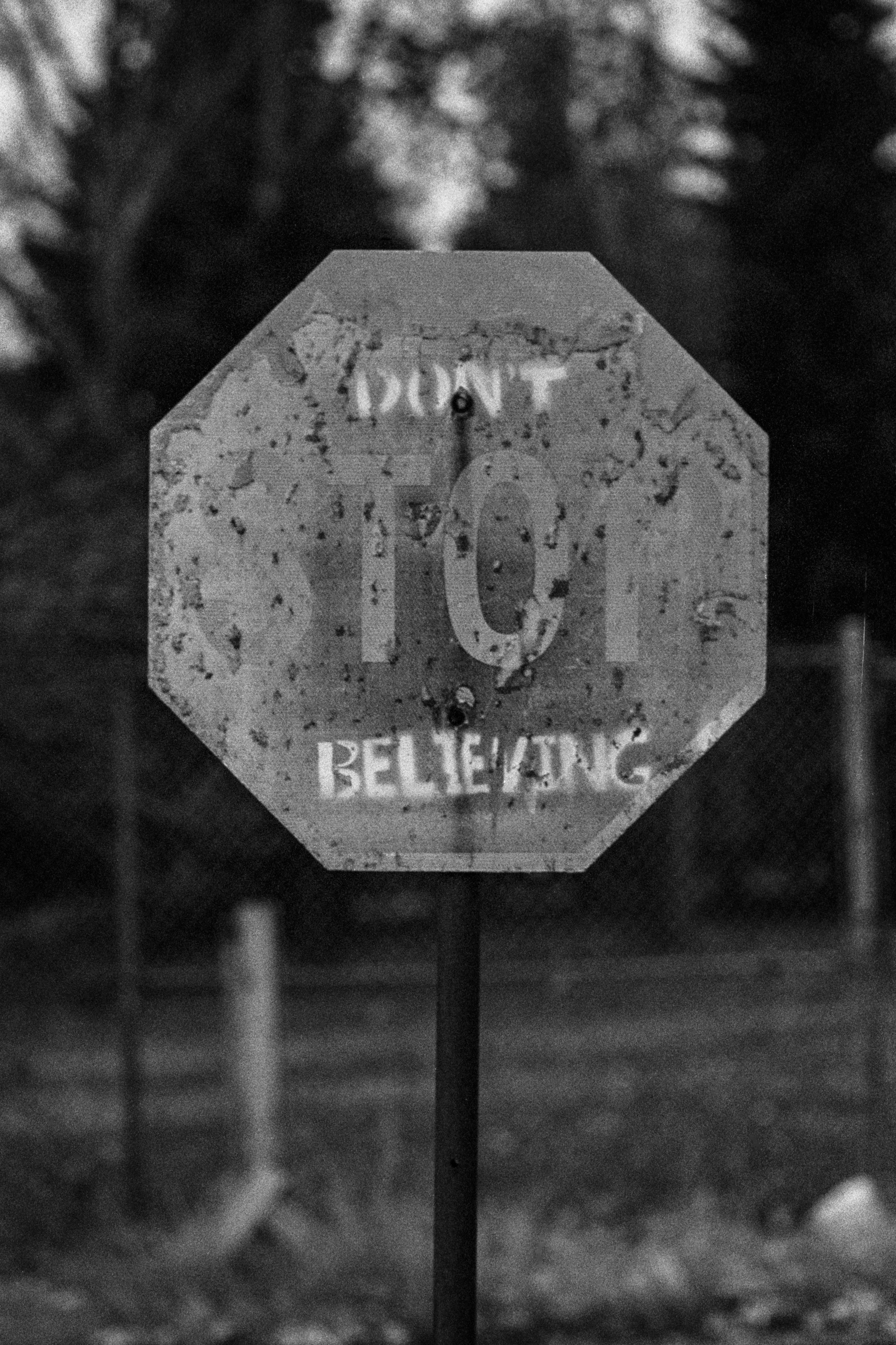 Don’t Stop Believing – My Second Running Life