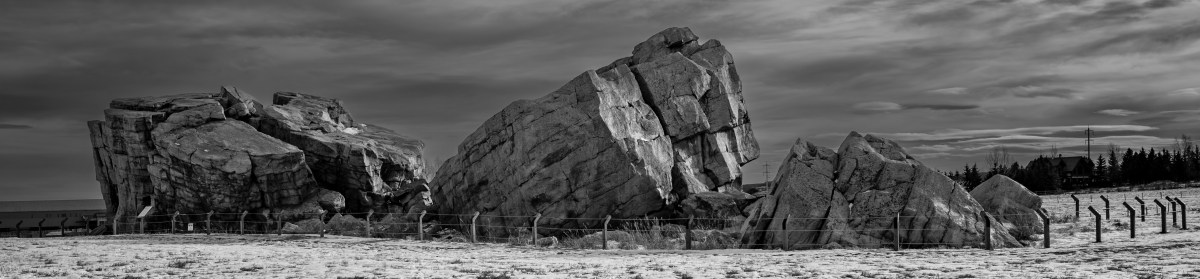 Milestone Reached—100 Blog&nbsp;Posts!